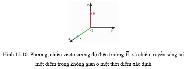 Xác định vectơ cảm ứng từ vecto B của sóng điện từ tại một thời điểm trong Hình 12.10