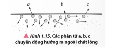 Lý thuyết Vật Lí 12 Bài 1: Sự chuyển thể | Chân trời sáng tạo