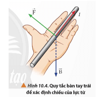 Lý thuyết Vật Lí 12 Bài 10: Lực từ. Cảm ứng từ | Chân trời sáng tạo