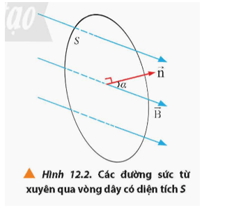 Lý thuyết Vật Lí 12 Bài 12: Hiện tượng cảm ứng điện từ | Chân trời sáng tạo