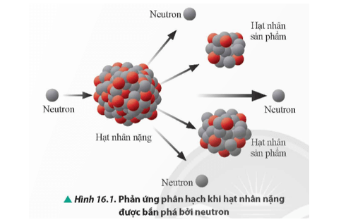 Lý thuyết Vật Lí 12 Bài 16: Phản ứng phân hạch, phản ứng nhiệt hạch và ứng dụng | Chân trời sáng tạo