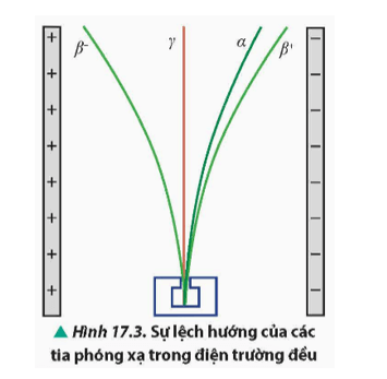 Lý thuyết Vật Lí 12 Bài 17: Hiện tượng phóng xạ | Chân trời sáng tạo