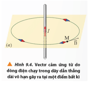 Lý thuyết Vật Lí 12 Bài 9: Khái niệm từ trường | Chân trời sáng tạo