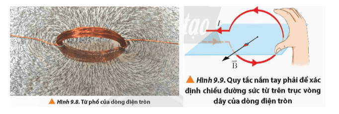 Lý thuyết Vật Lí 12 Bài 9: Khái niệm từ trường | Chân trời sáng tạo