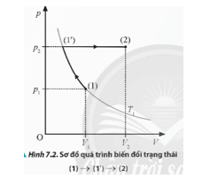 Quan sát Hình 7.2, thảo luận và thực hiện các nhiệm vụ sau 