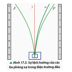 Quan sát Hình 17.3, mô tả và giải thích về sự lệch hướng của các tia phóng xạ