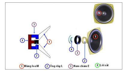 Dựa vào kiến thức đã học về lực từ cũng như tìm hiểu trên sách, báo, internet