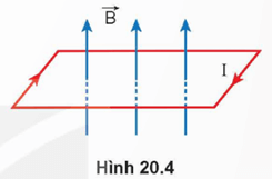 Đặt một khung dây dẫn hình chữ nhật có dòng điện chạy qua trong từ trường