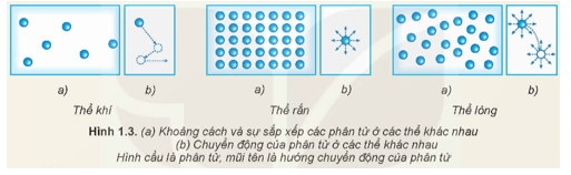 Hãy dựa vào Hình 1.3 để mô tả so sánh khoảng cách và sự sắp xếp