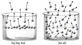 Lý thuyết Vật Lí 12 Bài 1: Cấu trúc của chất. Sự chuyển thể | Kết nối tri thức