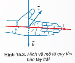 Lý thuyết Vật Lí 12 Bài 15: Lực từ tác dụng lên dây dẫn mang dòng điện. Cảm ứng từ | Kết nối tri thức