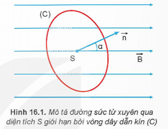 Lý thuyết Vật Lí 12 Bài 16: Từ thông. Hiện tượng cảm ứng điện từ | Kết nối tri thức