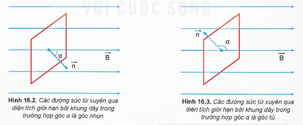 Lý thuyết Vật Lí 12 Bài 16: Từ thông. Hiện tượng cảm ứng điện từ | Kết nối tri thức