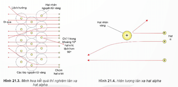 Lý thuyết Vật Lí 12 Bài 21: Cấu trúc hạt nhân | Kết nối tri thức