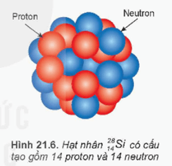 Lý thuyết Vật Lí 12 Bài 21: Cấu trúc hạt nhân | Kết nối tri thức