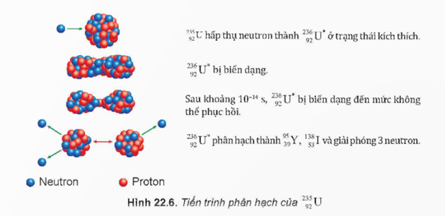 Lý thuyết Vật Lí 12 Bài 22: Phản ứng hạt nhân và năng lượng liên kết | Kết nối tri thức