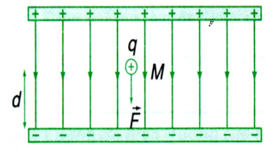 Lý thuyết Công của lực điện | Chuyên đề: Lý thuyết - Bài tập Vật Lý 11 có đáp án