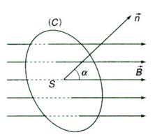 Lý thuyết Từ thông. Cảm ứng điện từ | Chuyên đề: Lý thuyết - Bài tập Vật Lý 11 có đáp án