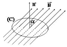 Lý thuyết Từ thông. Cảm ứng điện từ | Chuyên đề: Lý thuyết - Bài tập Vật Lý 11 có đáp án