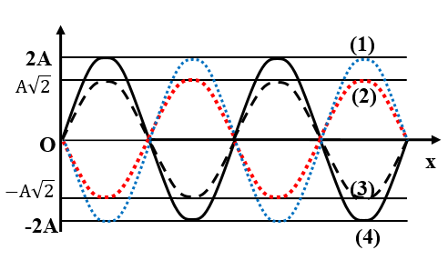 Cách giải bài tập về đồ thị sóng dừng cực hay có lời giải - Vật Lí lớp 12