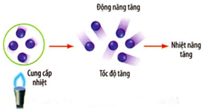 Vật Lí lớp 8 | Chuyên đề: Lý thuyết - Bài tập Vật Lý 8 có đáp án