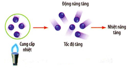 Vật Lí lớp 8 | Chuyên đề: Lý thuyết - Bài tập Vật Lý 8 có đáp án