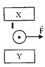 Cách xác định chiều của lực điện từ cực hay | Vật Lí lớp 9