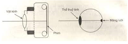 Bài tập về sự tạo ảnh trong máy ảnh và cách giải