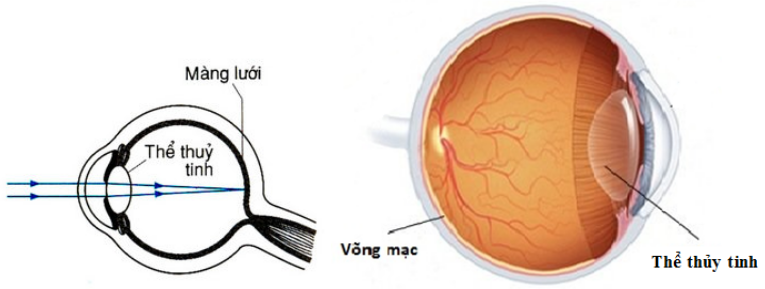 Vật Lí lớp 9 | Tổng hợp Lý thuyết - Bài tập Vật Lý 9 có đáp án