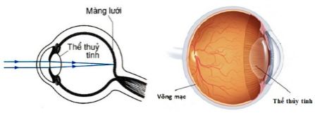 Vật Lí lớp 9 | Tổng hợp Lý thuyết - Bài tập Vật Lý 9 có đáp án