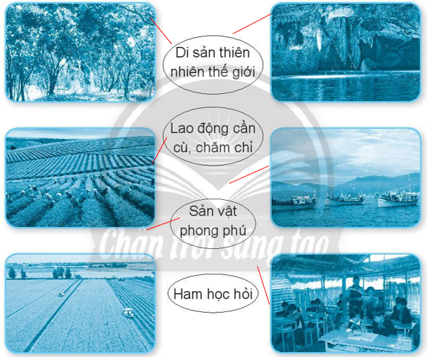 Vở bài tập Đạo đức lớp 3 trang 46, 47, 48 Bài 12: Việt Nam tươi đẹp - Chân trời sáng tạo