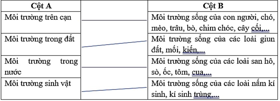 Vở bài tập Đạo đức lớp 5 Bài 7: Môi trường sống quanh em | Chân trời sáng tạo