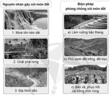 Vở bài tập Khoa học lớp 5 Bài 1: Đất và bảo vệ môi trường đất | Cánh diều