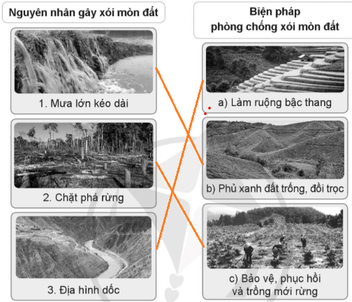 Vở bài tập Khoa học lớp 5 Bài 1: Đất và bảo vệ môi trường đất | Cánh diều