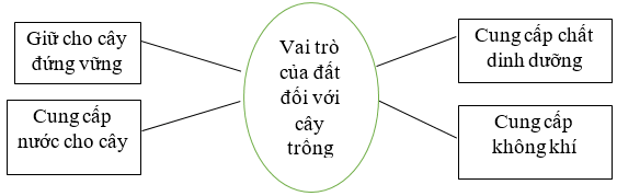 Vở bài tập Khoa học lớp 5 Bài 1: Đất và bảo vệ môi trường đất | Cánh diều