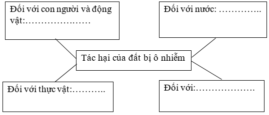 Vở bài tập Khoa học lớp 5 Bài 1: Đất và bảo vệ môi trường đất | Cánh diều