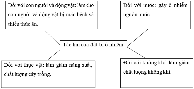 Vở bài tập Khoa học lớp 5 Bài 1: Đất và bảo vệ môi trường đất | Cánh diều