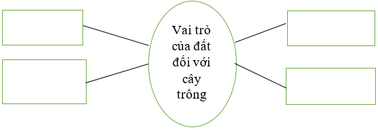 Vở bài tập Khoa học lớp 5 Bài 1: Đất và bảo vệ môi trường đất | Cánh diều