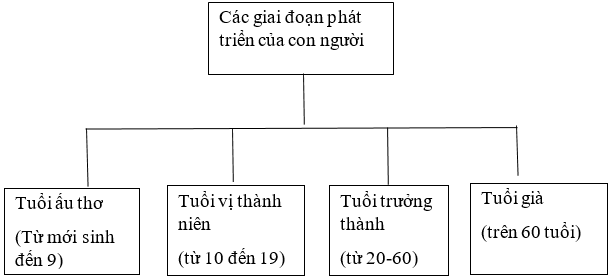 Vở bài tập Khoa học lớp 5 Bài 16: Quá trình phát triển của con người | Cánh diều