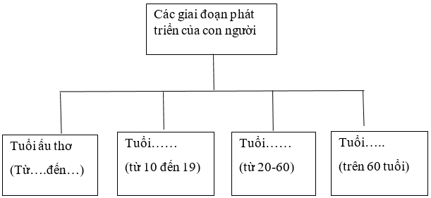 Vở bài tập Khoa học lớp 5 Bài 16: Quá trình phát triển của con người | Cánh diều