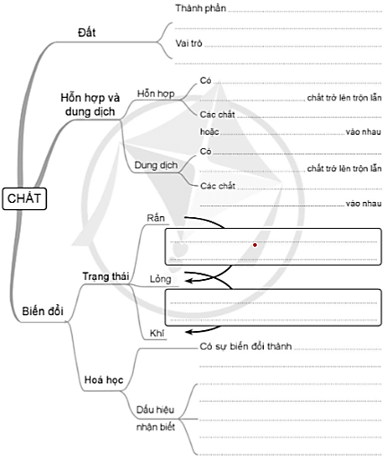 Vở bài tập Khoa học lớp 5 Ôn tập chủ đề Chất | Cánh diều