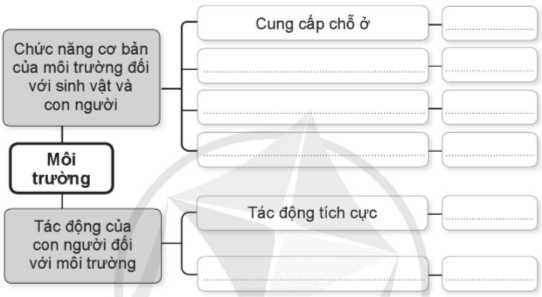 Vở bài tập Khoa học lớp 5 Ôn tập chủ đề Sinh vật và môi trường | Cánh diều