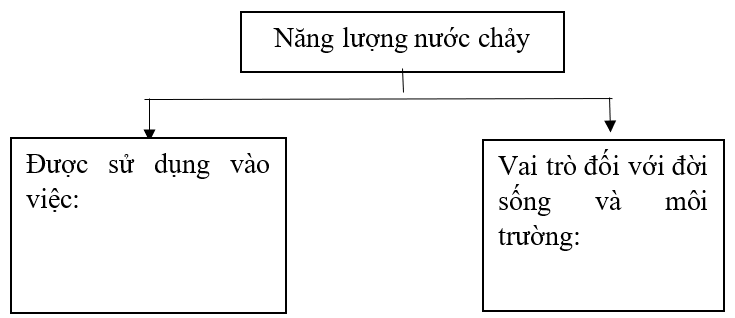 Vở bài tập Khoa học lớp 5 Bài 11: Năng lượng mặt trời, gió và nước chảy | Chân trời sáng tạo 