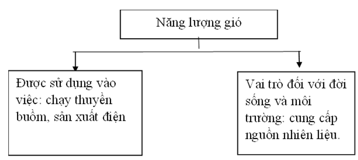 Vở bài tập Khoa học lớp 5 Bài 11: Năng lượng mặt trời, gió và nước chảy | Chân trời sáng tạo 