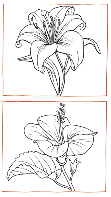 Vở bài tập Khoa học lớp 5 Bài 13: Sự sinh sản của thực vật có hoa | Chân trời sáng tạo 