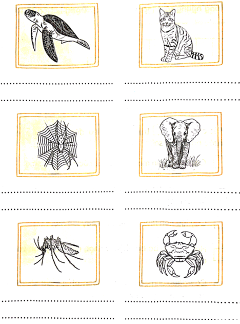 Vở bài tập Khoa học lớp 5 Bài 15: Sự sinh sản của động vật | Chân trời sáng tạo 
