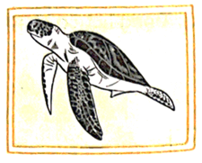 Vở bài tập Khoa học lớp 5 Bài 15: Sự sinh sản của động vật | Chân trời sáng tạo 