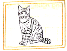 Vở bài tập Khoa học lớp 5 Bài 15: Sự sinh sản của động vật | Chân trời sáng tạo 