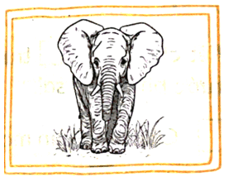 Vở bài tập Khoa học lớp 5 Bài 15: Sự sinh sản của động vật | Chân trời sáng tạo 