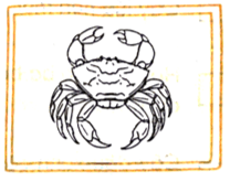 Vở bài tập Khoa học lớp 5 Bài 15: Sự sinh sản của động vật | Chân trời sáng tạo 